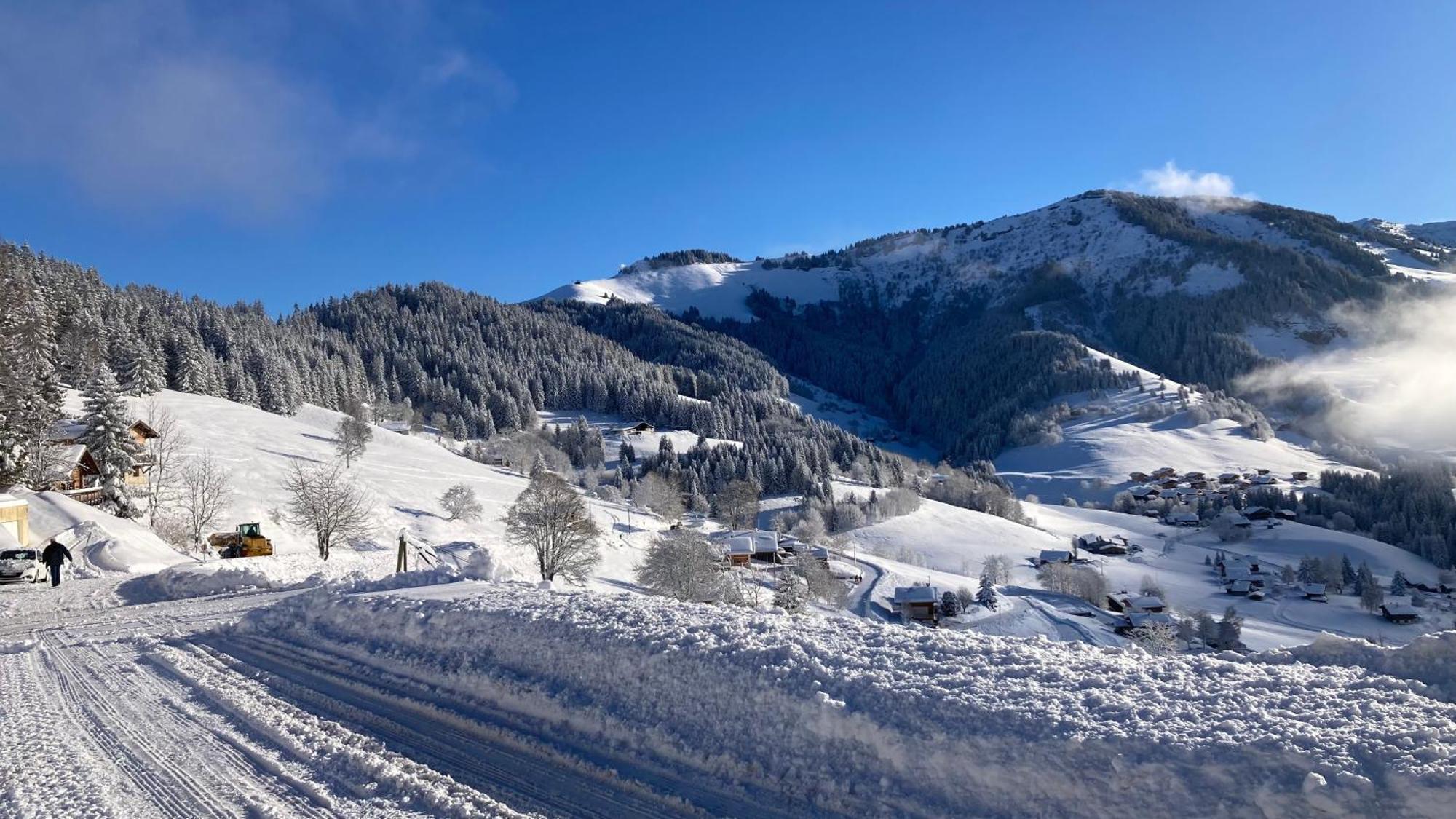 Demi Chalet Le Lachat Notre-Dame-de-Bellecombe Bagian luar foto