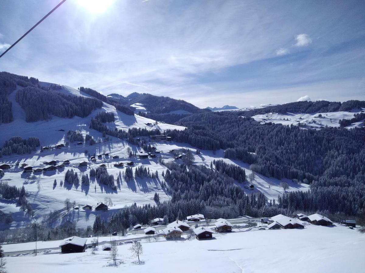 Demi Chalet Le Lachat Notre-Dame-de-Bellecombe Bagian luar foto